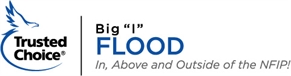 Flood-Clr-Web.jpg